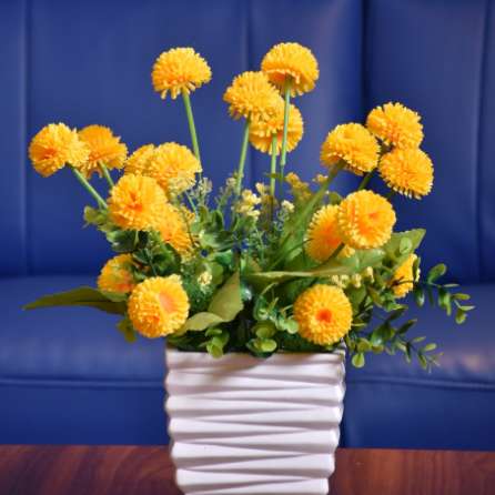 茶道入門セット