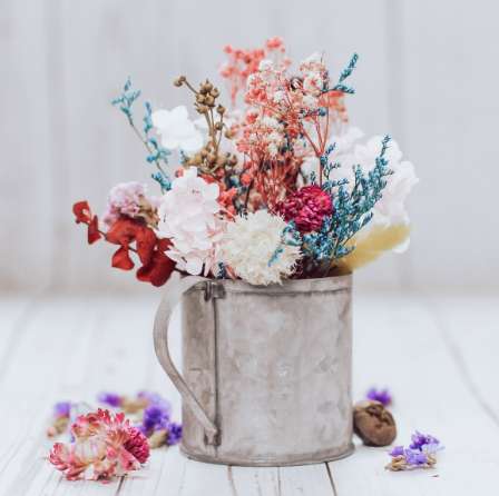 静岡茶飲み比べ