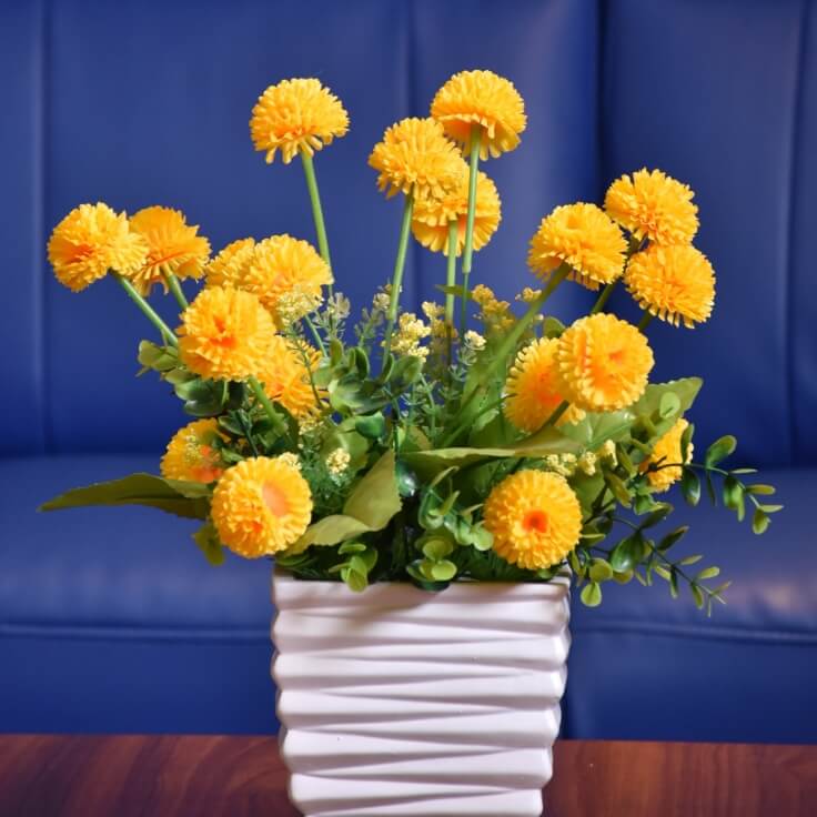 アフリカンマリーゴールド 鉢植え