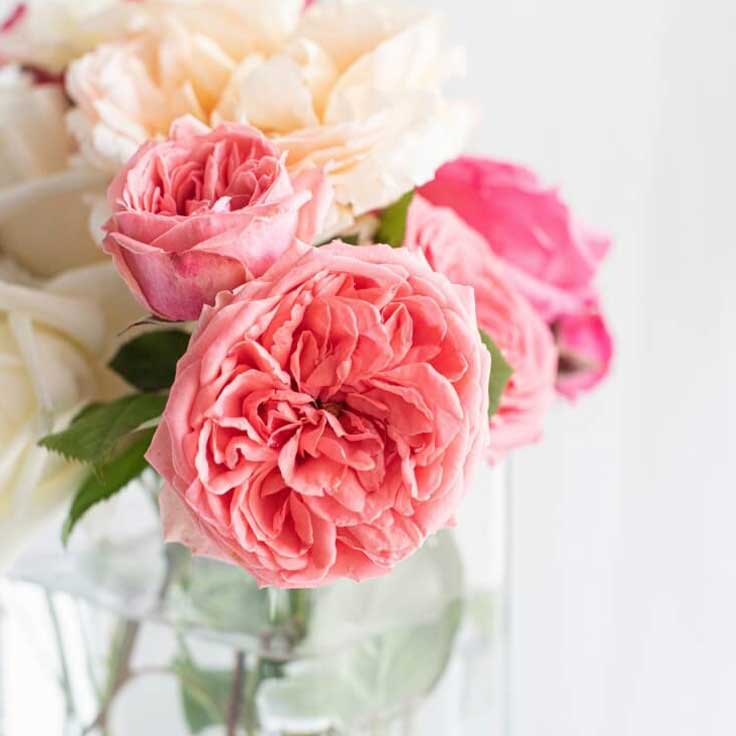 バラの花束（ピンク）